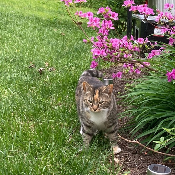 Meet your Posher, Missy - Picture 10 of 10